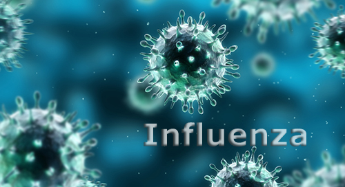 Image result for images of flu virus