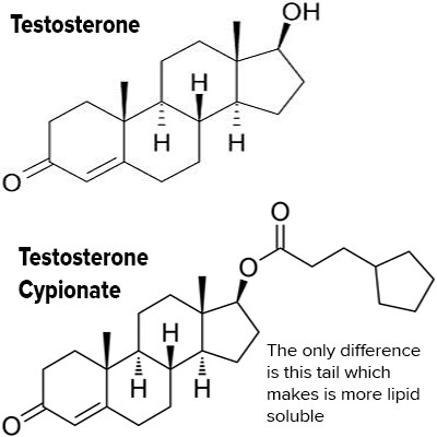 200mg testosterone cypionate every two weeks