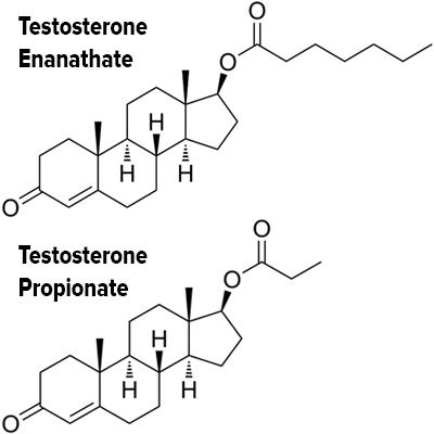 Propionate meaning