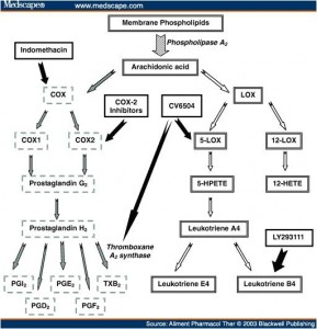 arachadonic acid pathway inflammation