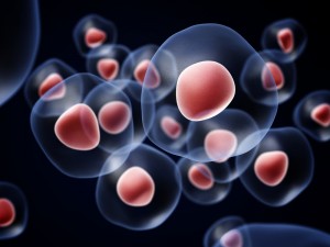 Tulsa Stem Cell - Prolotherapy